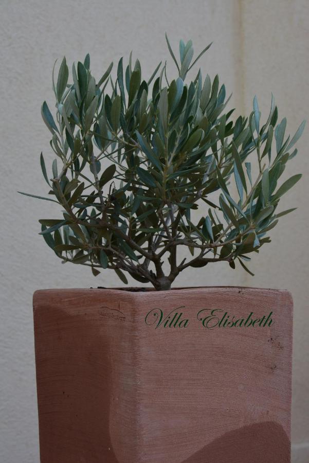 Villa Elisabeth Aix-en-Provence Buitenkant foto